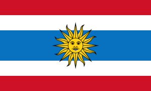 repsalta-flaga-300x180